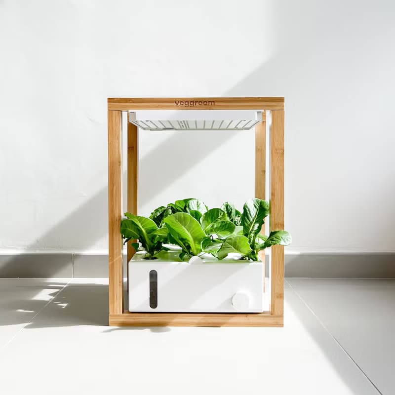 Verda Garden Grow Stack層疊水耕蔬菜智能種菜機