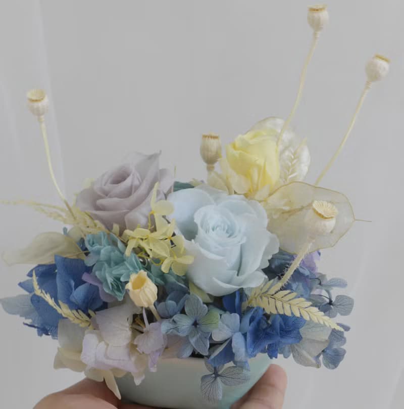 海洋風玫瑰永生盆花 結婚捧花永生乾燥花畢業謝師禮物生日畢業禮
