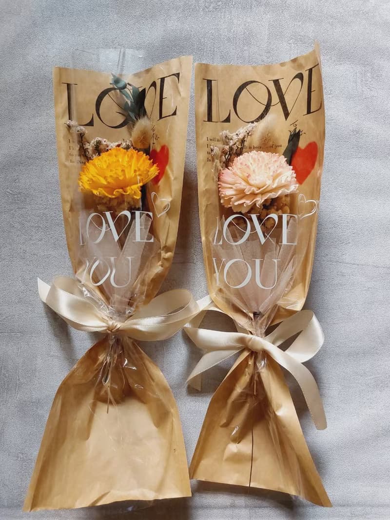 母親節專屬 索拉花康乃馨花束 附提袋