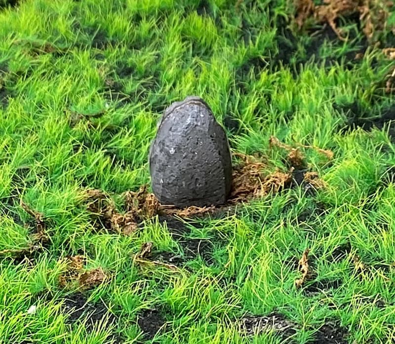 能量擺飾-天然可愛夢幻紫晶鎮 紫水晶 財運水晶 增智慧 快速出貨