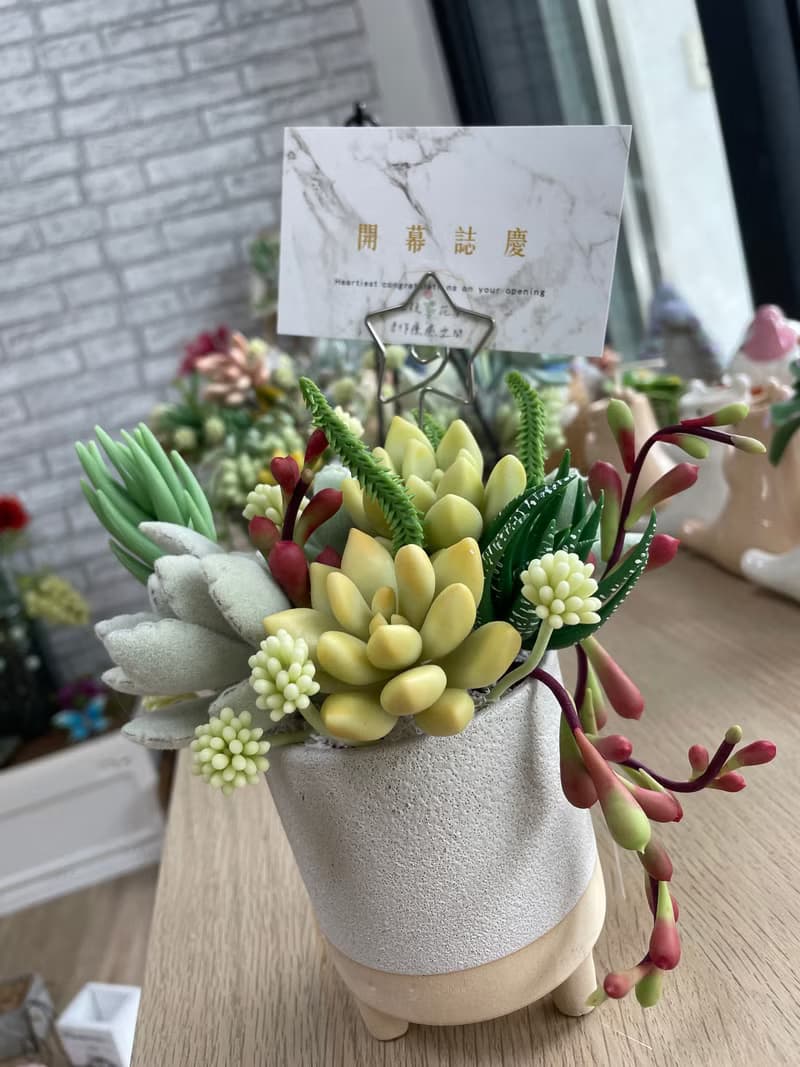 黏土仿真多肉盆栽 開幕花禮 開幕盆