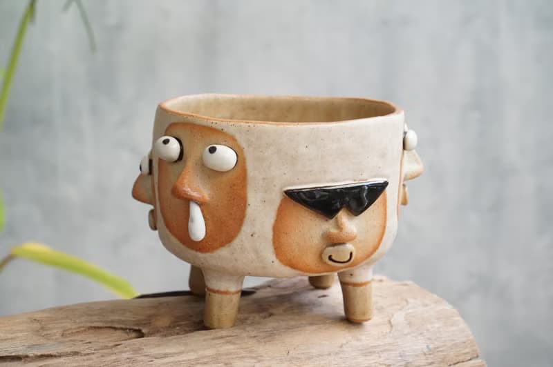 Funny Succulent planter set with faces.