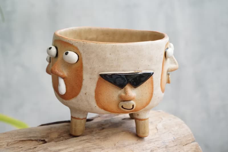Funny Succulent planter set with faces.