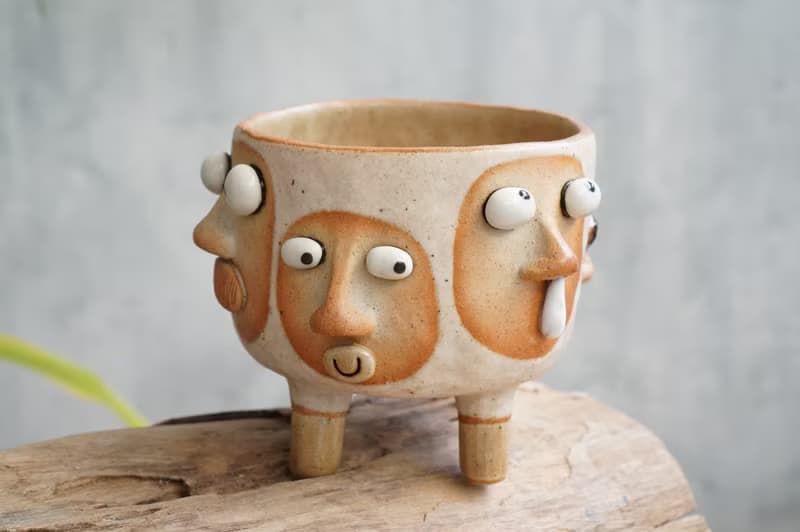Funny Succulent planter set with faces.
