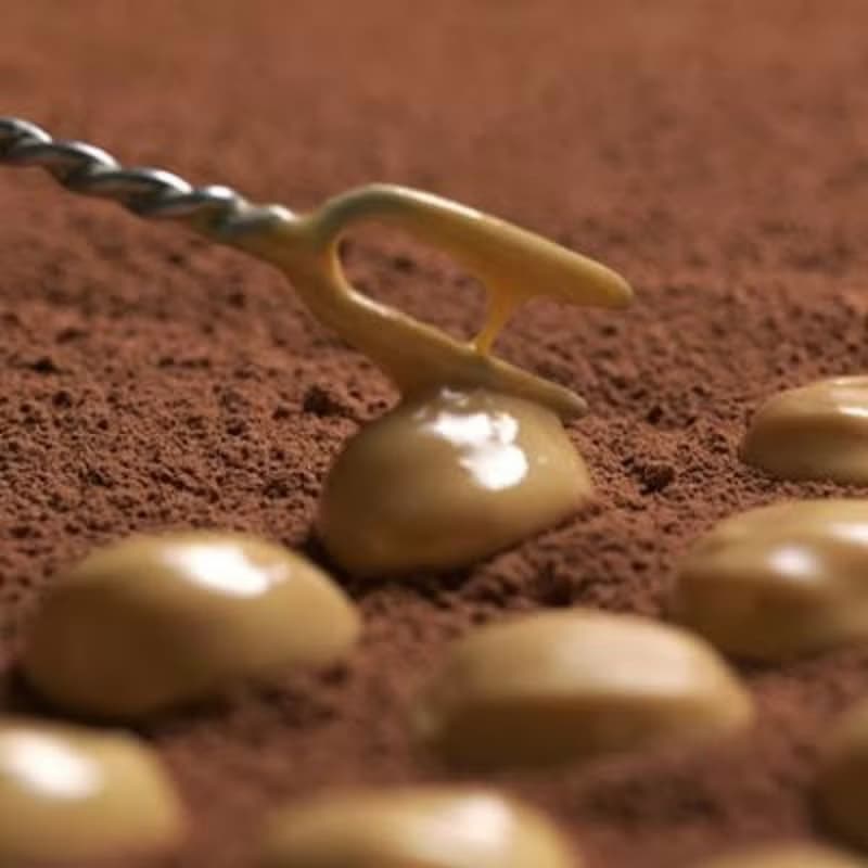 CATÀNIES CUDIÉ 卡塔尼斯 酷迪耶 經典杏仁巧克力