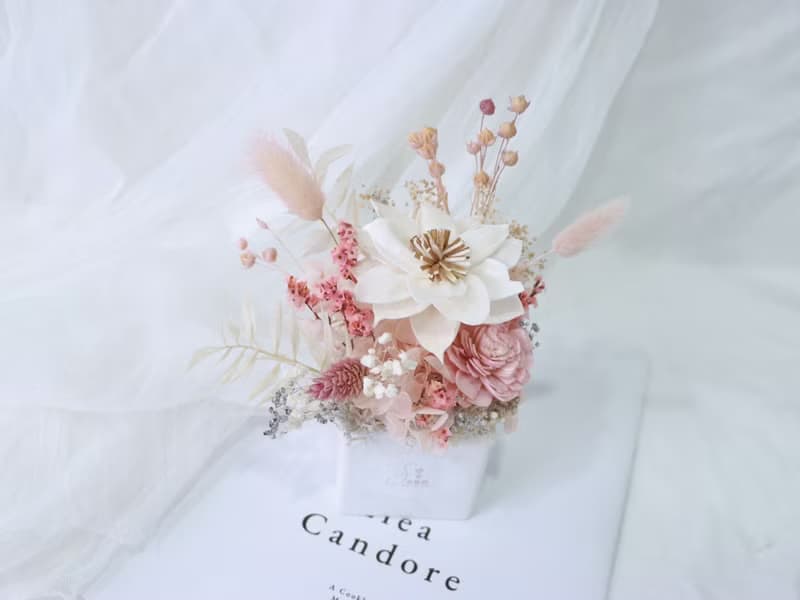 sᴏᴍᴇ ᴛɪᴍᴇ 擴香乾燥花盆  居家擺設 開幕花禮 生日禮物