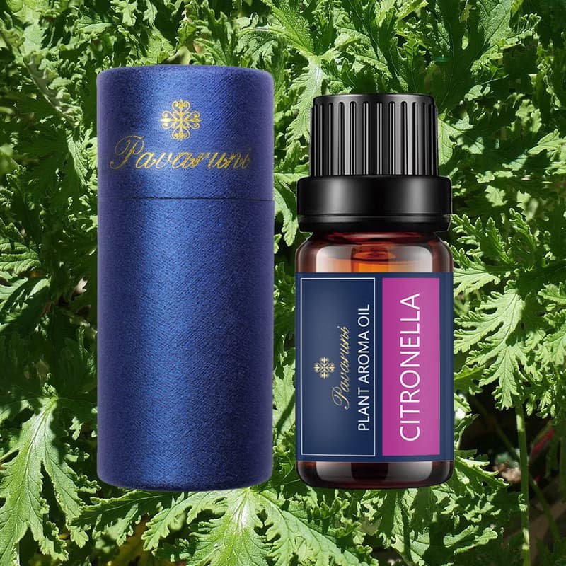 Pavaruni美國原創香茅香薰精油禮盒40種擴香油性香氛植物精油