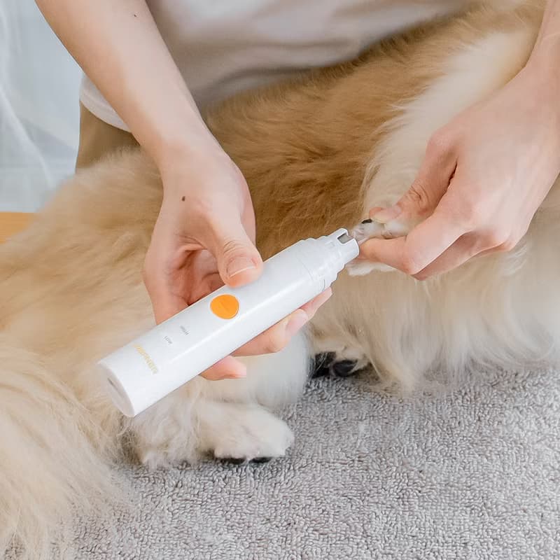 ( 腳底毛小電剪+磨甲器 ) MB-024 奧本防水二合一寵物修剪器