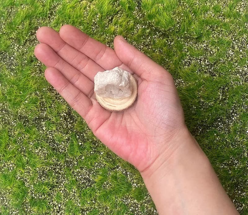 天然原礦可愛招財白晶洞 財運水晶 快速出貨 辦公室擺件 風水擺件