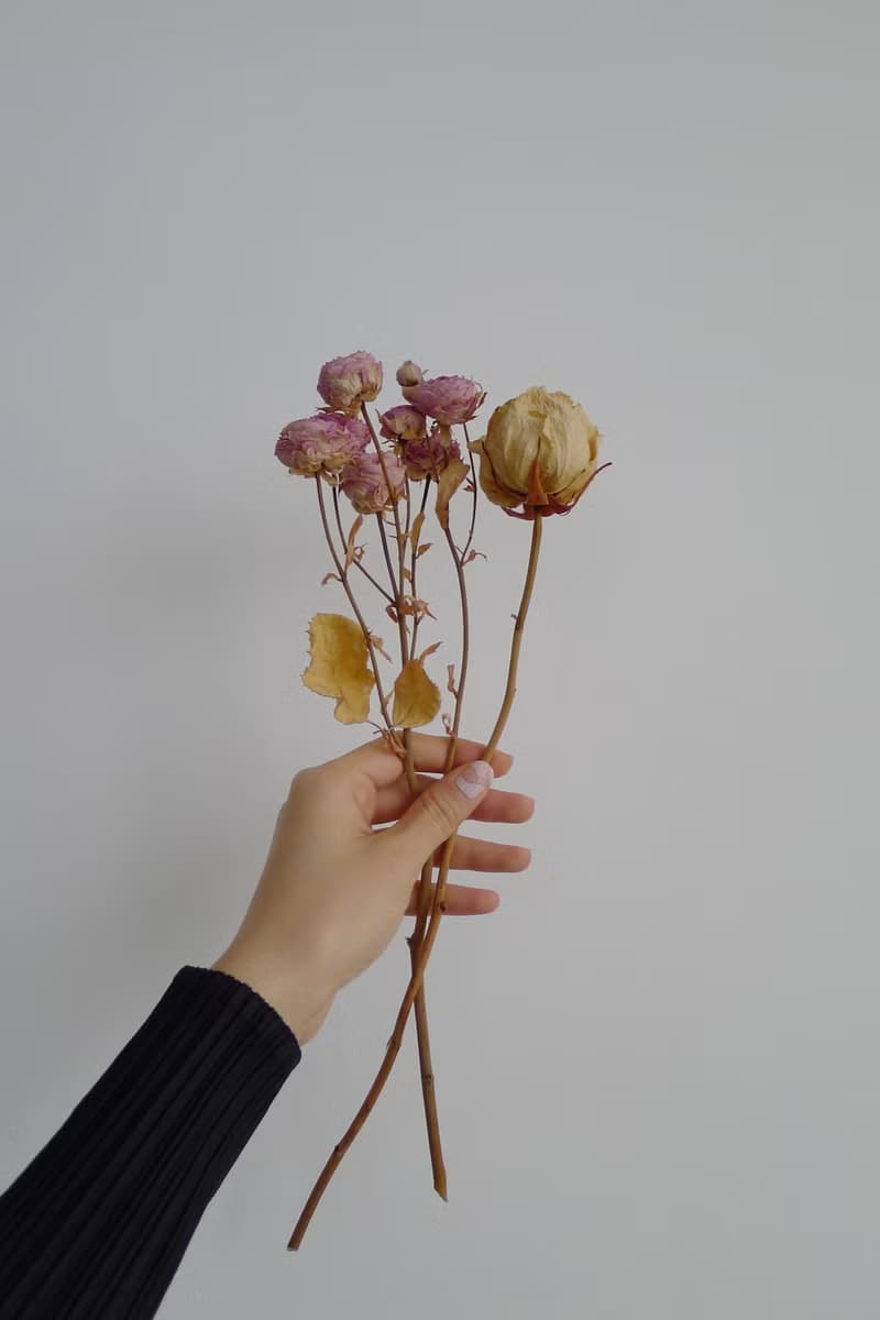 Muted RYB凝膠指甲貼