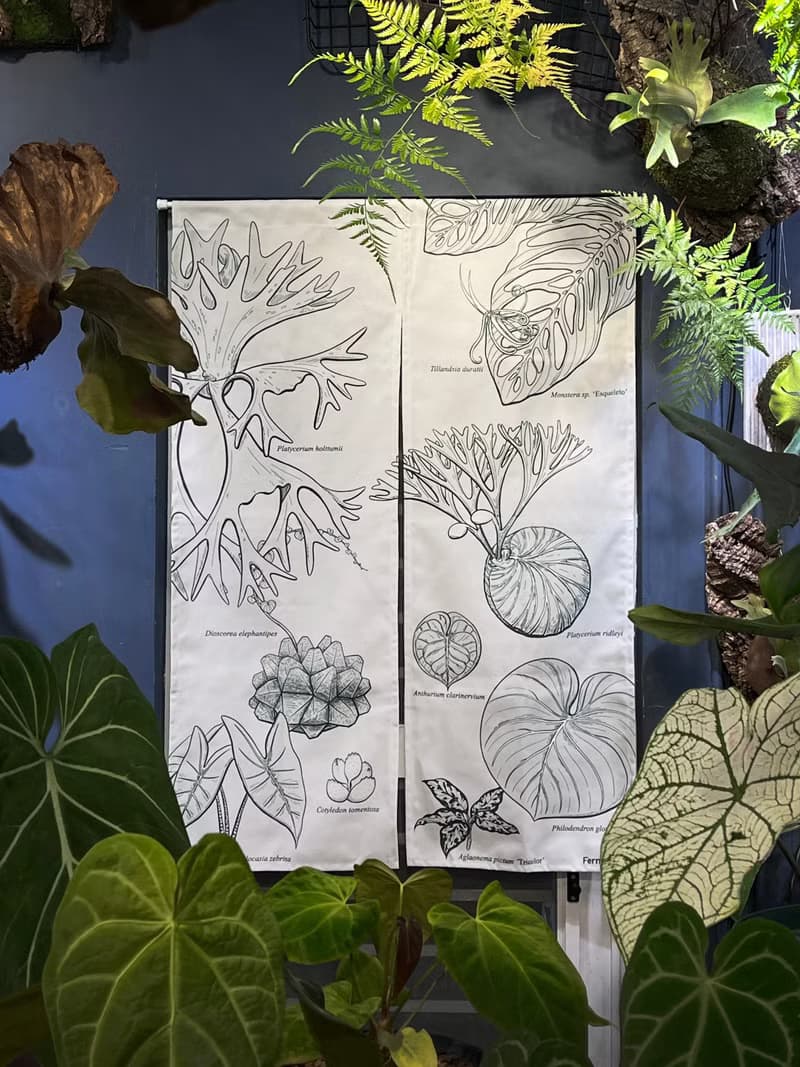 【日式門簾】觀葉好門簾 植物插畫風格 仿麻布材質 白色/綠色