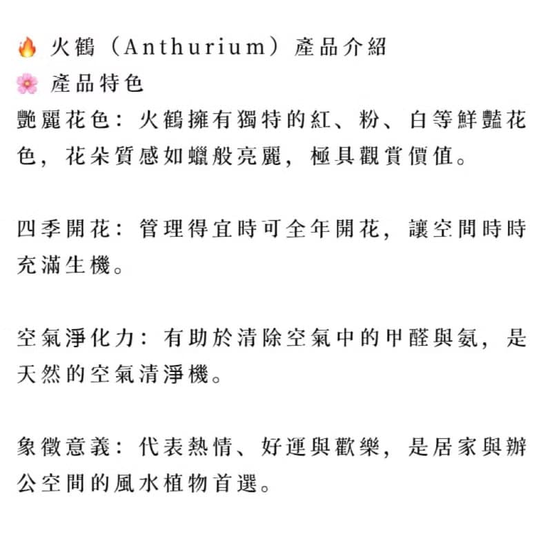 【簡約送禮設計】火鶴盆栽 開幕新居喬遷公司送禮 風水盆栽