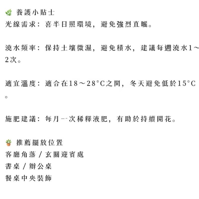 【簡約送禮設計】火鶴盆栽 開幕新居喬遷公司送禮 風水盆栽