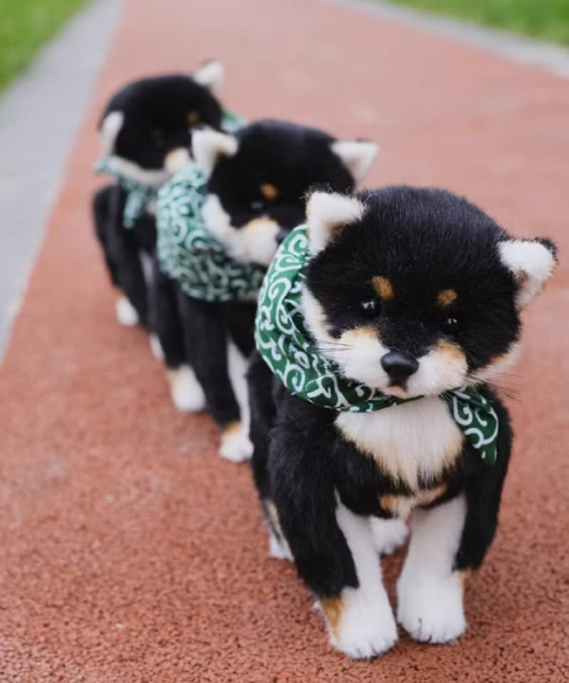 【難度升級款】黑色柴犬/DIY材料包 原創仿真手工柴犬小狗材料包