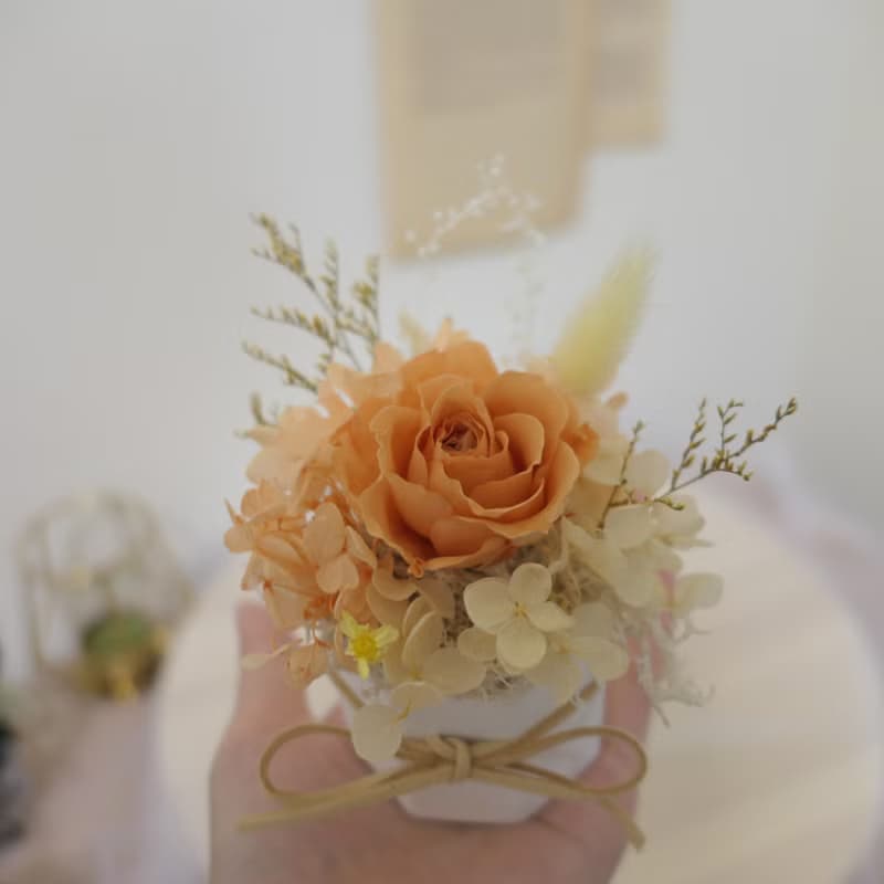 【永生玫瑰小盆花】桌上療癒小物/禮物/擴香石盆花