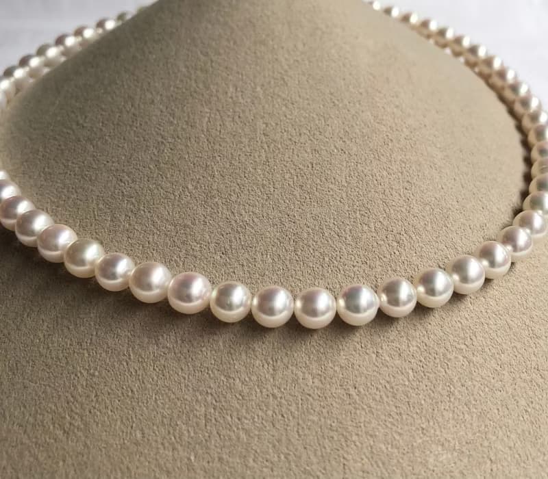 送料無料【Ltd.price】Akoya pearl necklace  sea pearl