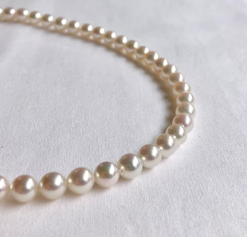送料無料【Ltd.price】Akoya pearl necklace  sea pearl