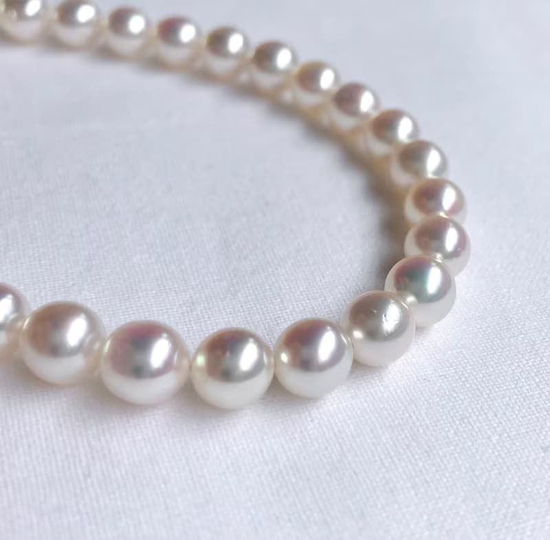 送料無料【Ltd.price】Akoya pearl necklace  sea pearl
