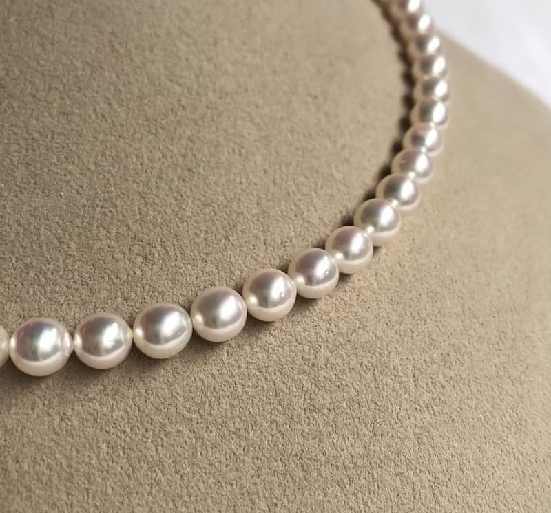 送料無料【Ltd.price】Akoya pearl necklace  sea pearl