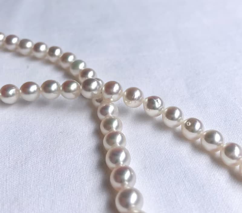 送料無料【Ltd.price】Akoya pearl necklace  sea pearl