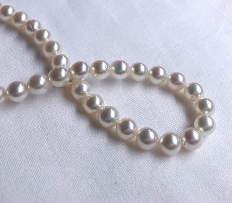 送料無料【Ltd.price】Akoya pearl necklace  sea pearl
