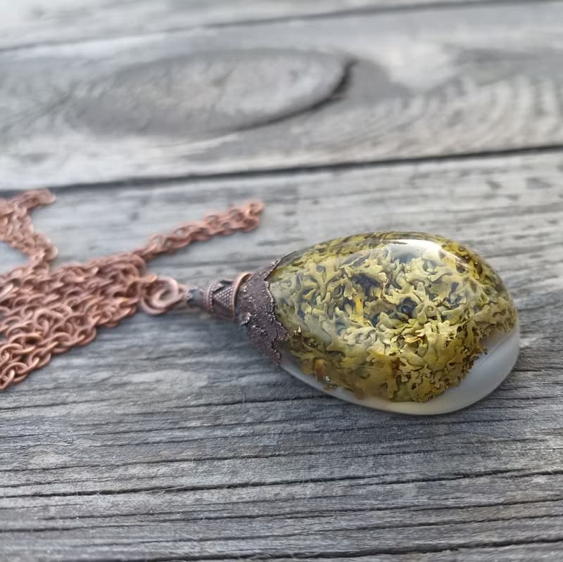 Forest necklace with lichen Witch jewelry Lichens in resin necklace 生日禮物 項鍊