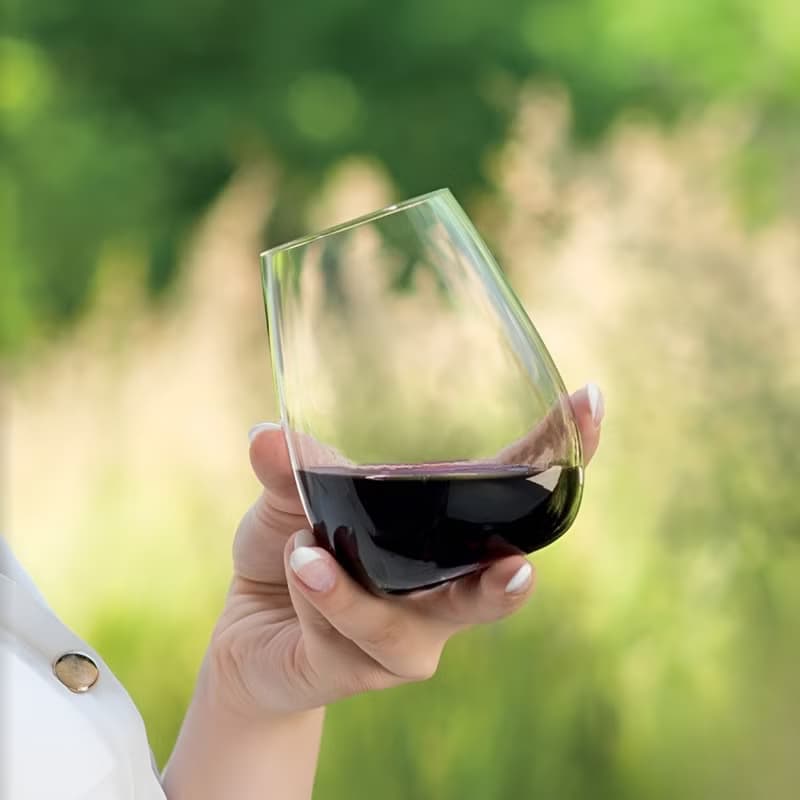 【RONA】斯洛伐克 Drink Master 專業無梗系列-波爾多杯 460ml