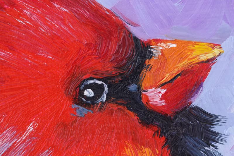 Red Cardinal Oil Painting Bird Original Art Northern Cardinal Artwork