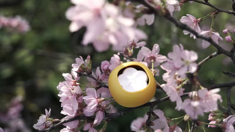 擴香器-桂花