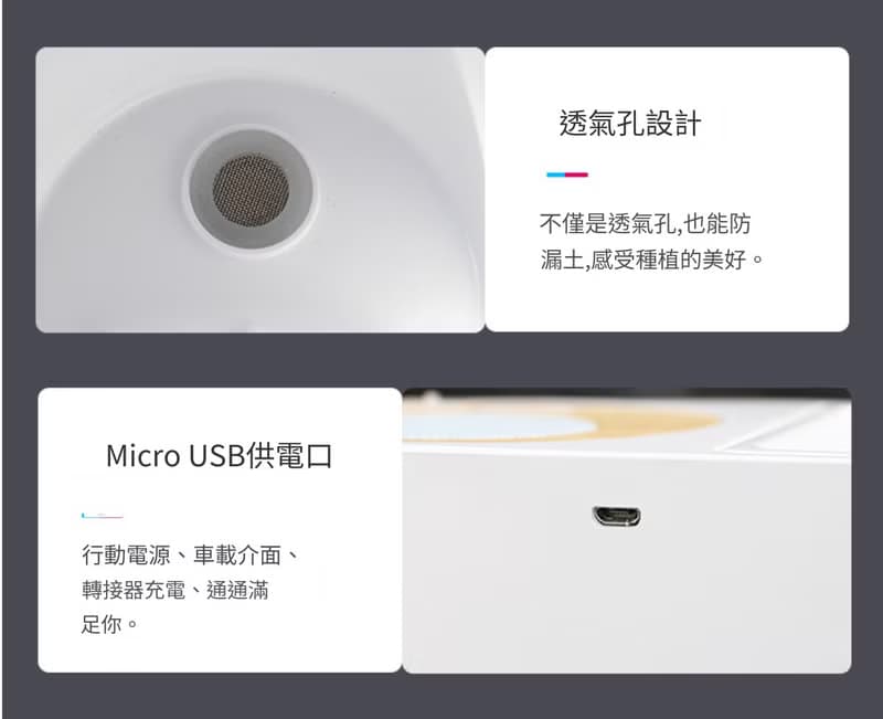 藍芽智慧音箱 福祿桐(富貴樹) 懶人盆栽 室內植物