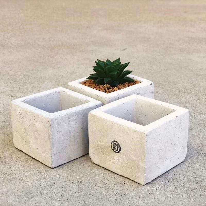 【野草不野】中方 / 水泥盆器