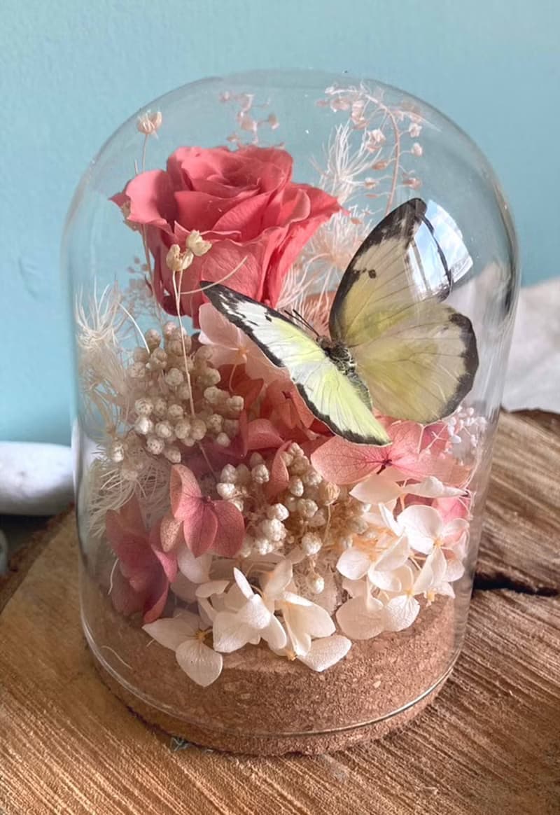 蝴蝶標本玻璃盅-黃粉蝶/七夕情人節/乾燥花/生態瓶/鳳蝶/父親節