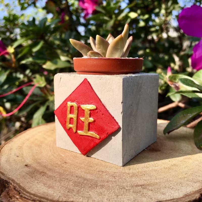 旺  紅通通!!新年磁鐵盆栽 送多肉植物