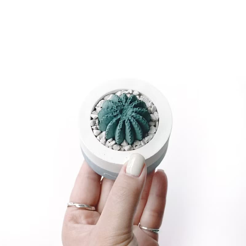 (預購) 莫蘭迪藍系列 | 仙人球造型水泥擴香石組 辦公室懶人植栽