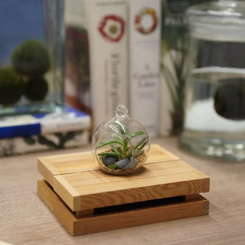 玻璃球世界 迷你球球版