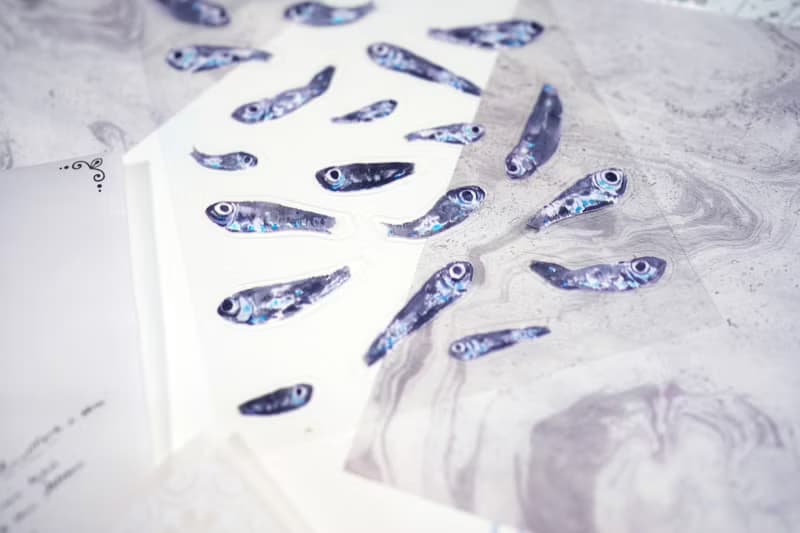 【深海魚毛】水彩插畫 白墨PET貼紙 手帳 搞笑 海洋生物 奇怪