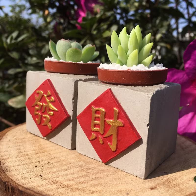 送包裝 交換禮物 發財組 磁鐵盆栽 送多肉
