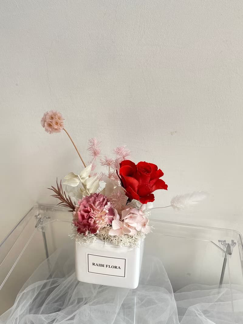 溫暖紅韻 ; 母親節 永生玫瑰 康乃馨 乾燥花盆花花禮 母親節禮物