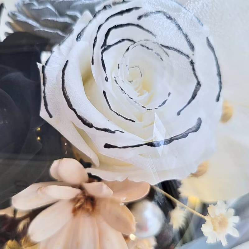 永生玫瑰玻璃球罩盅。有燈。附包裝。禮物