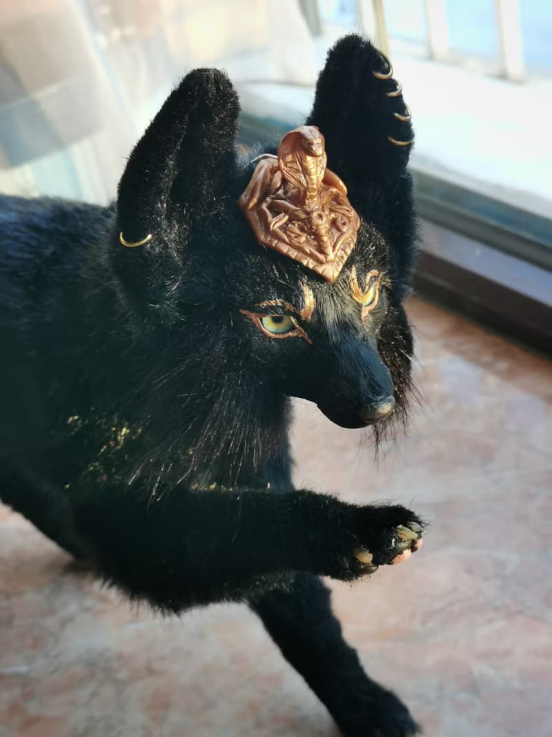 Anubis Egypt God Wolf black armor fantasy animal stuffed artdoll poseable