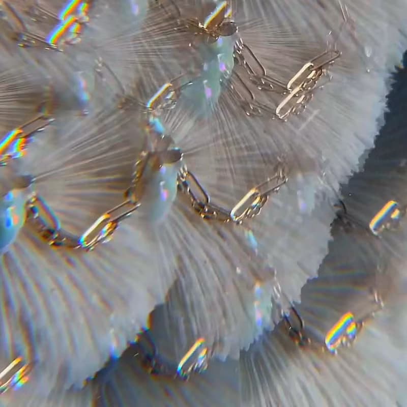【我的心】獨特巴洛克珍珠陶瓷心髒炫彩項鏈鎖骨鏈