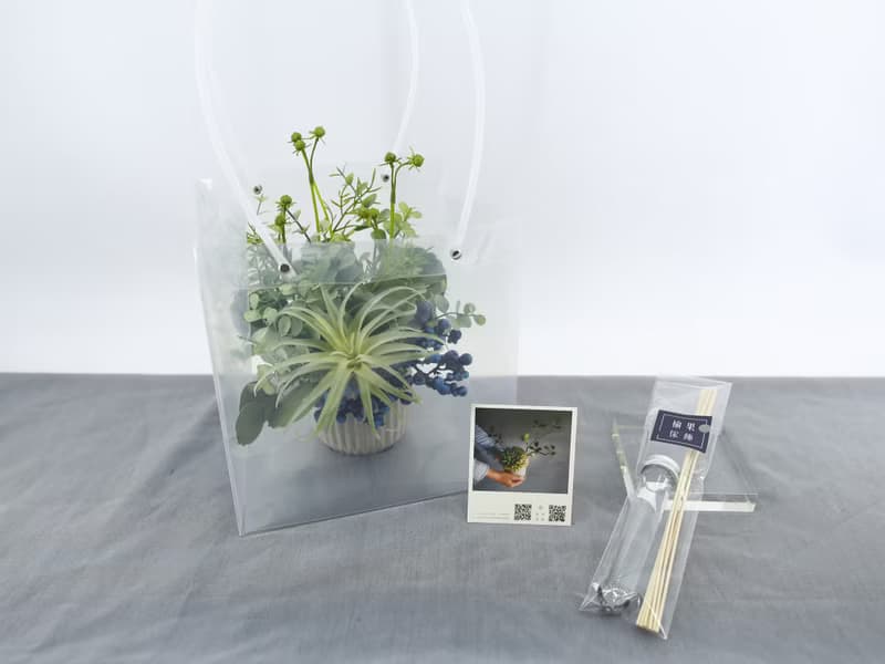 空氣鳳梨香氛花藝/擬真植栽/香氛植栽/禮物/佈置/佈置