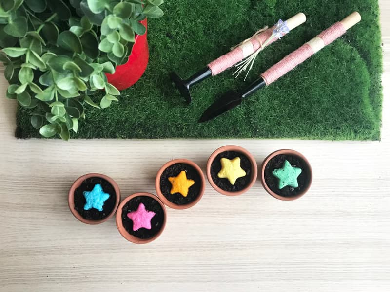 【送禮自用套組】Star Grows 香草星星種子球植栽套組