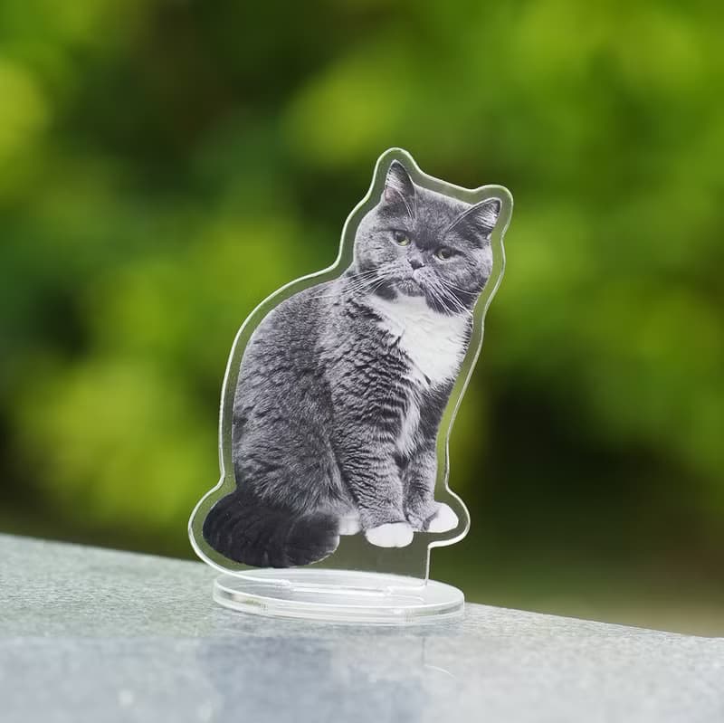 買二贈一 來圖定製 寵物立牌 壓克力立牌 飯友