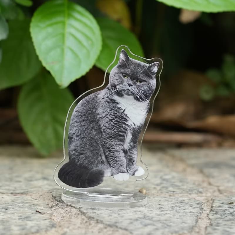 買二贈一 來圖定製 寵物立牌 壓克力立牌 飯友