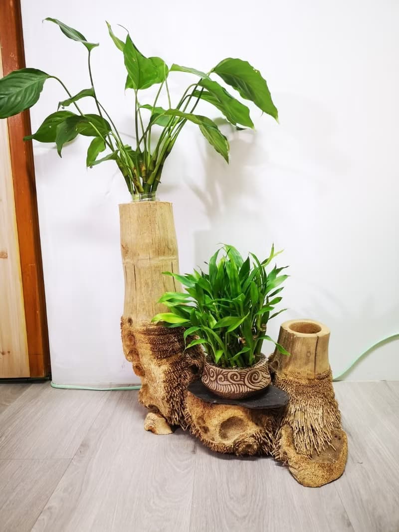 -雙樹頭- 花架 花座 展示架 盆栽架 多肉植物 木頭擺飾