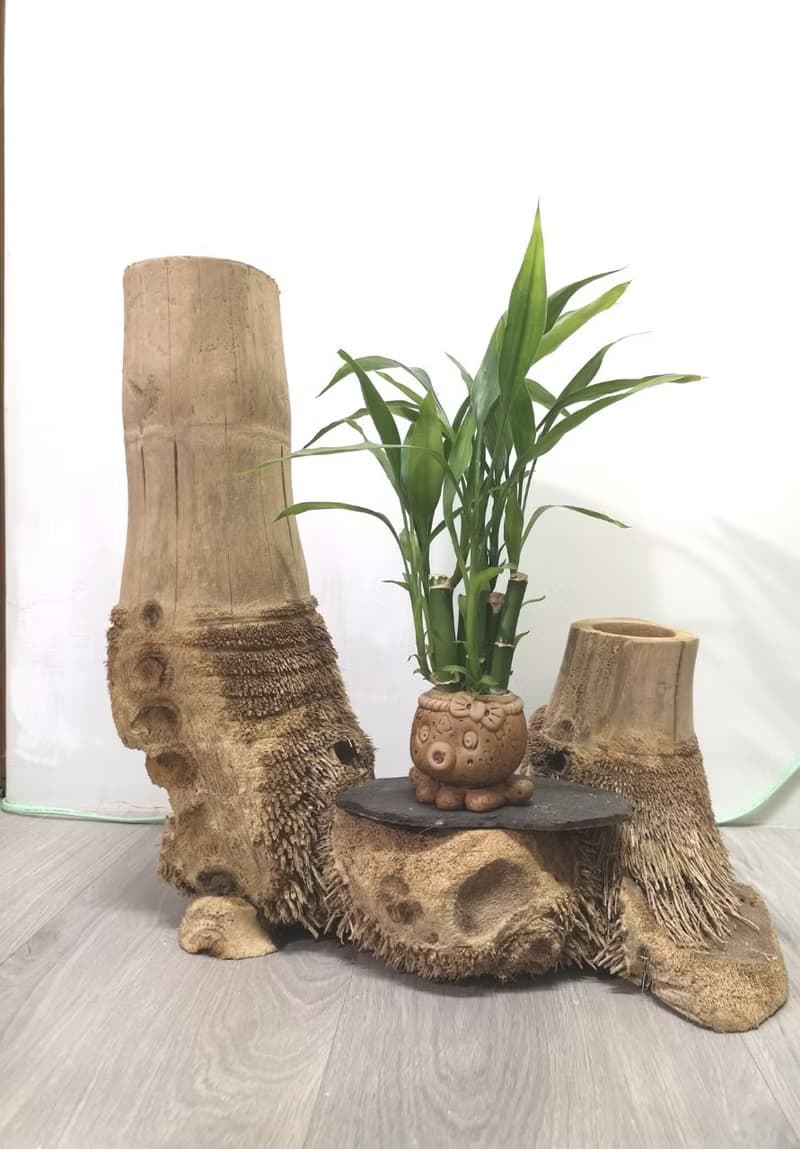 -雙樹頭- 花架 花座 展示架 盆栽架 多肉植物 木頭擺飾