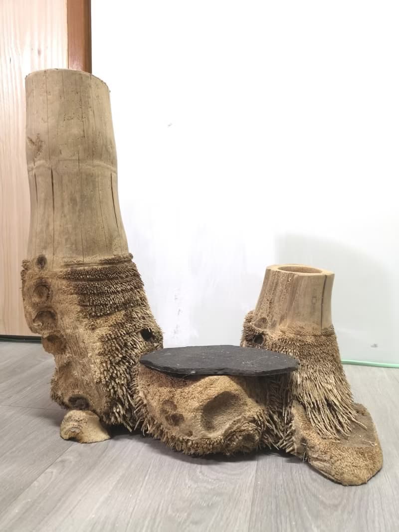 -雙樹頭- 花架 花座 展示架 盆栽架 多肉植物 木頭擺飾