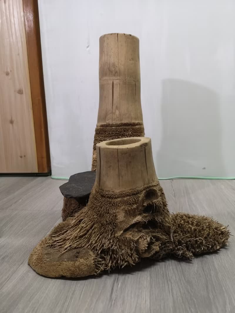 -雙樹頭- 花架 花座 展示架 盆栽架 多肉植物 木頭擺飾