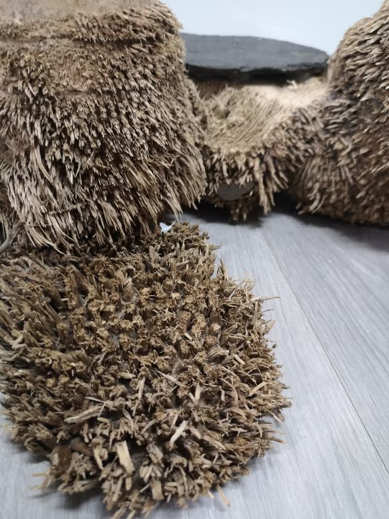 -雙樹頭- 花架 花座 展示架 盆栽架 多肉植物 木頭擺飾